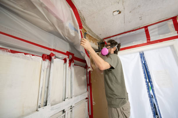 Best Black Mold Removal  in Carbon Hill, AL